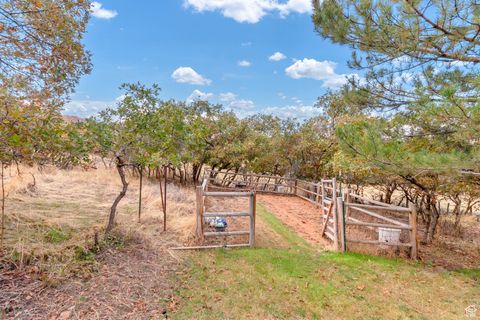 Tiny photo for 195 S OAK DR, Woodland Hills, UT 84653 (MLS # 2118076)