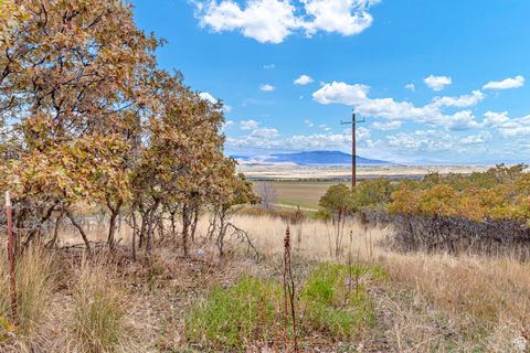 Tiny photo for 195 S OAK DR, Woodland Hills, UT 84653 (MLS # 2118076)