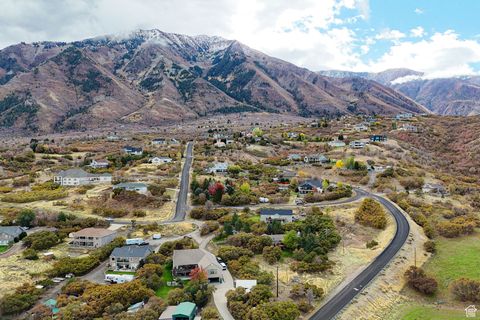 Tiny photo for 195 S OAK DR, Woodland Hills, UT 84653 (MLS # 2118076)