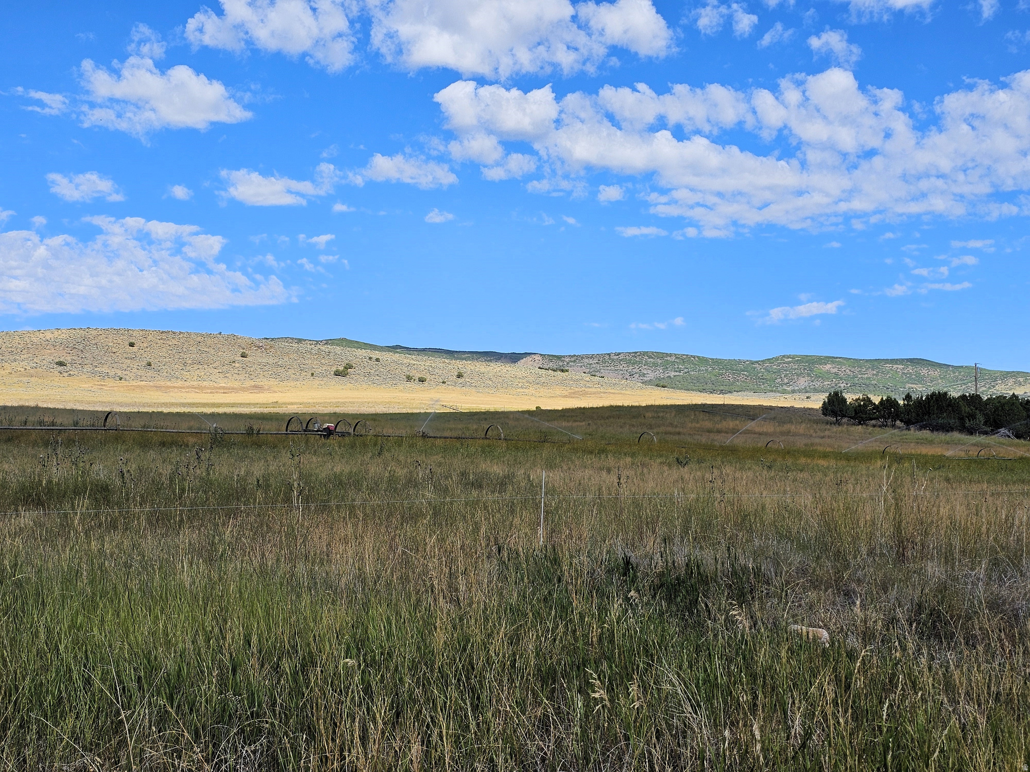 JUINPER FIELDS - Land