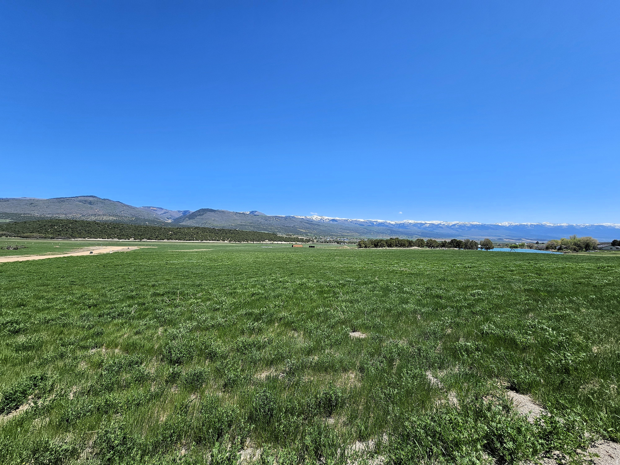 JUINPER FIELDS - Land