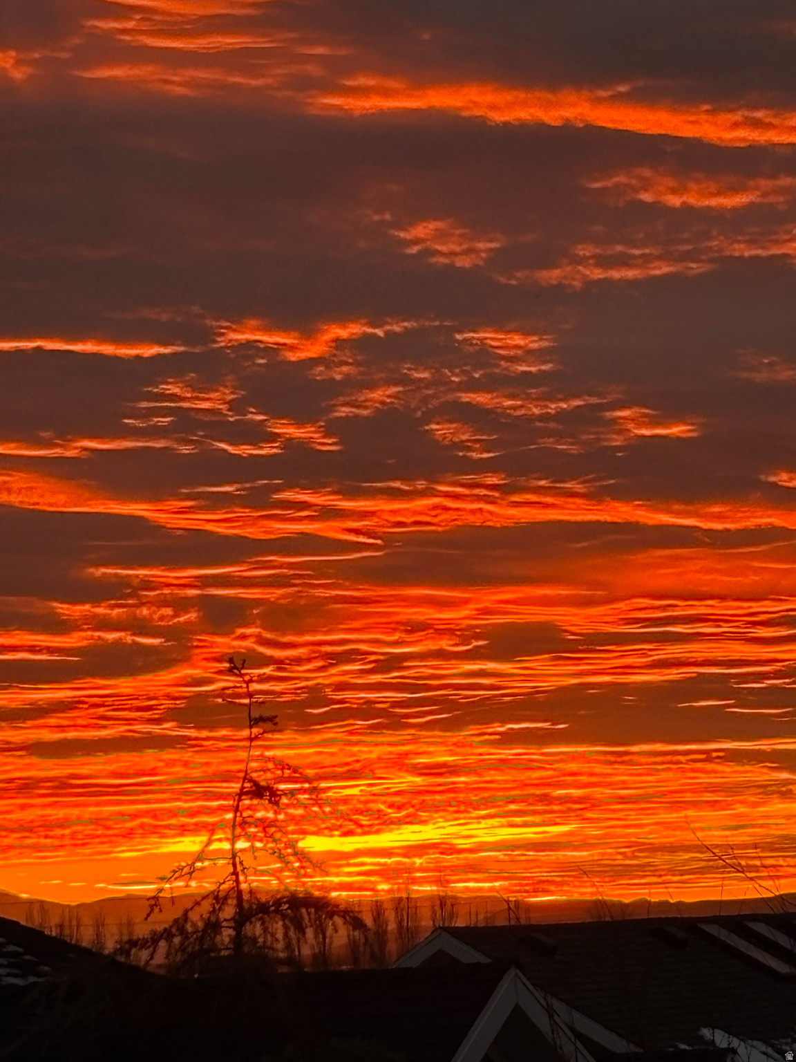 CONTINENTAL ESTATES - Residential