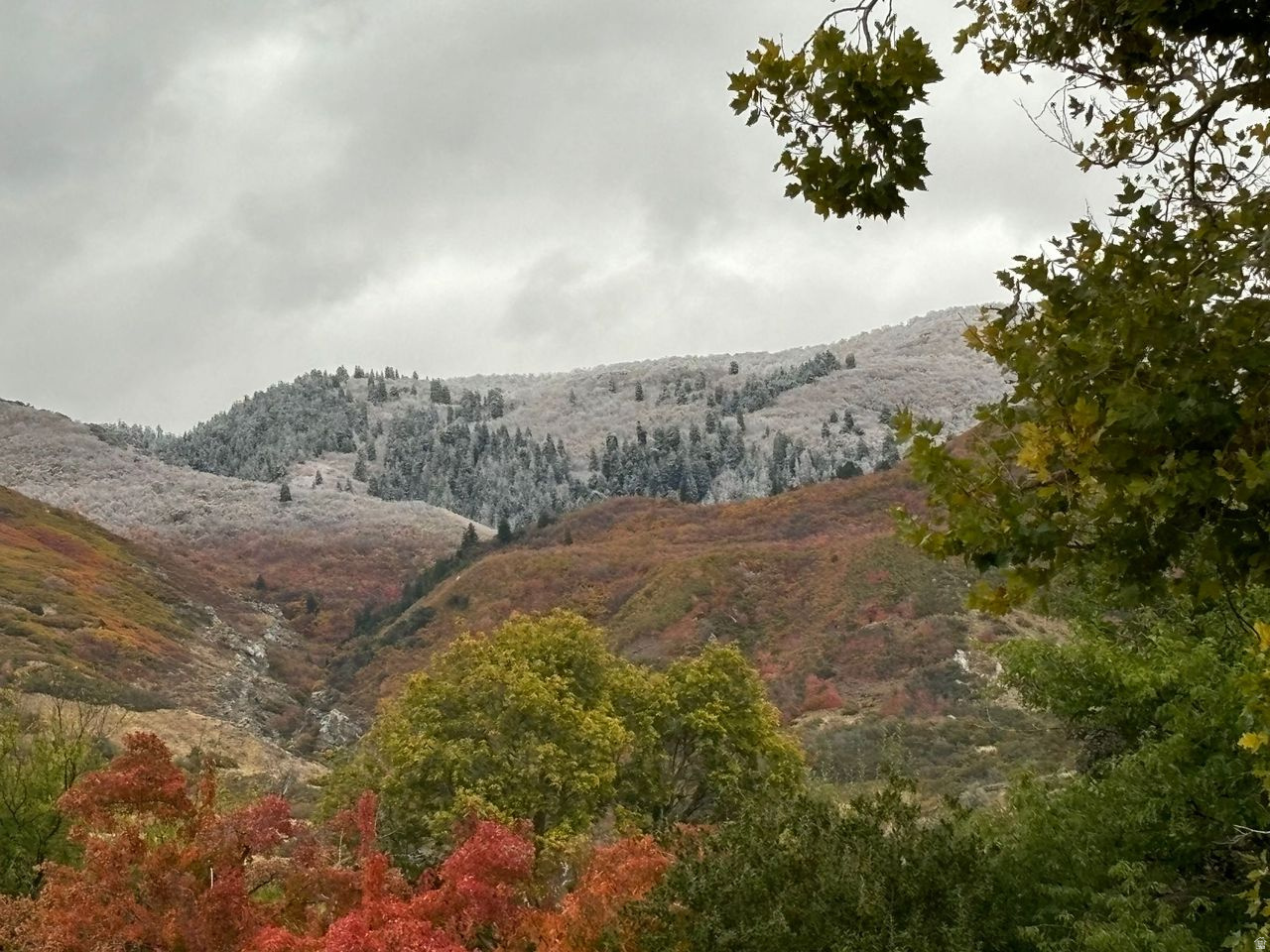 CONTINENTAL ESTATES - Residential