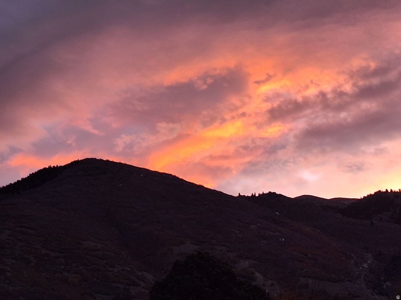 CONTINENTAL ESTATES - Residential