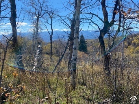 509 W ARTIST POINT WAY # 53, COALVILLE, UT 84017 - Image db567abbfac3b32e5768478043f3449b/578068830