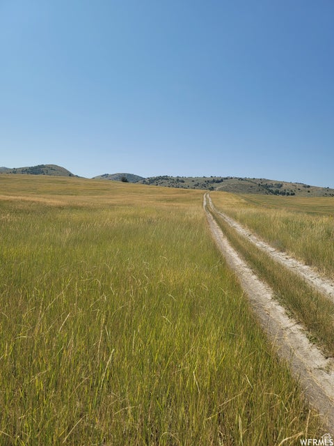 Vacant Land For Sale - 8300 W 8200<br/> Cache County, Newton, UT 84327