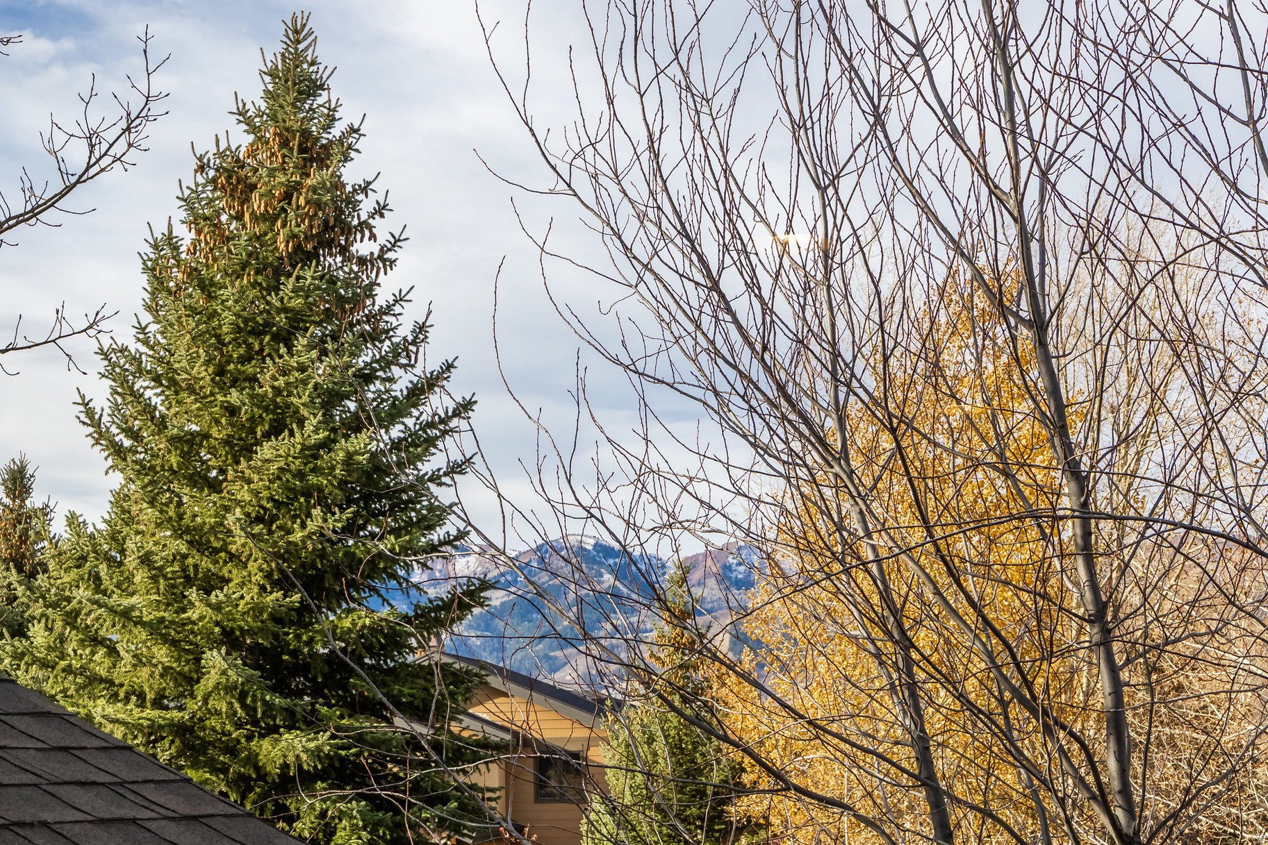 MOUNTAIN RANCH ESTATES - Residential