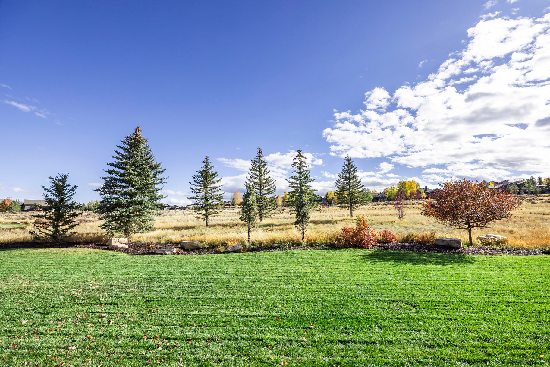 MOUNTAIN RANCH ESTATES - Residential