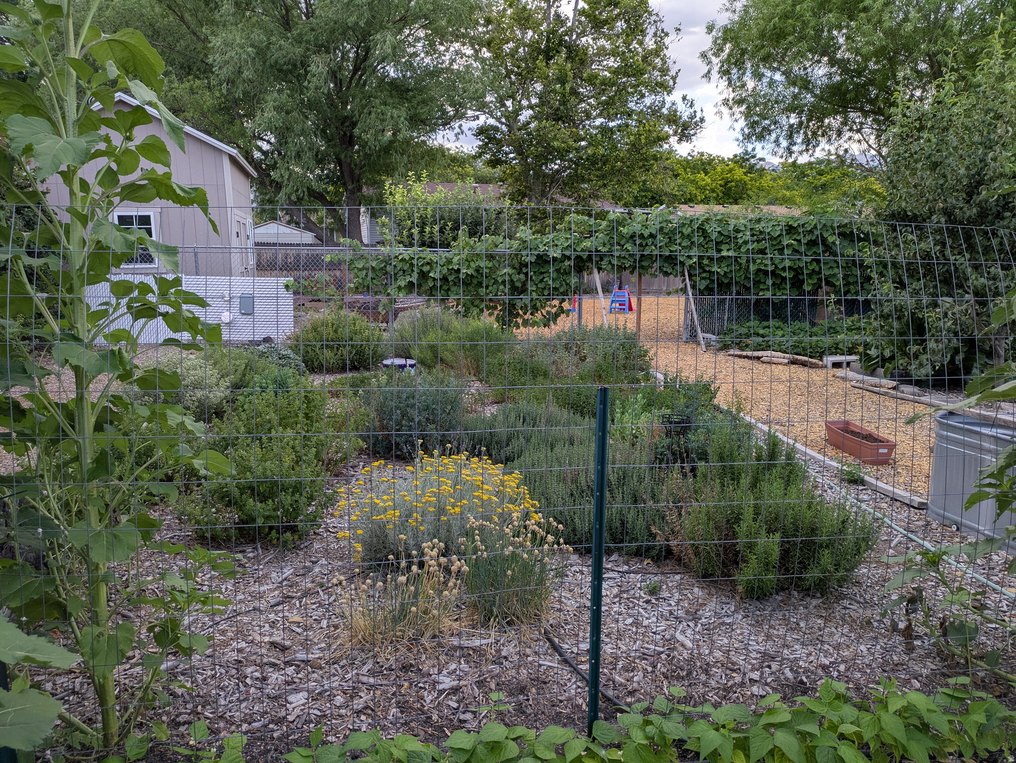 RIVERVIEW EAST - Residential