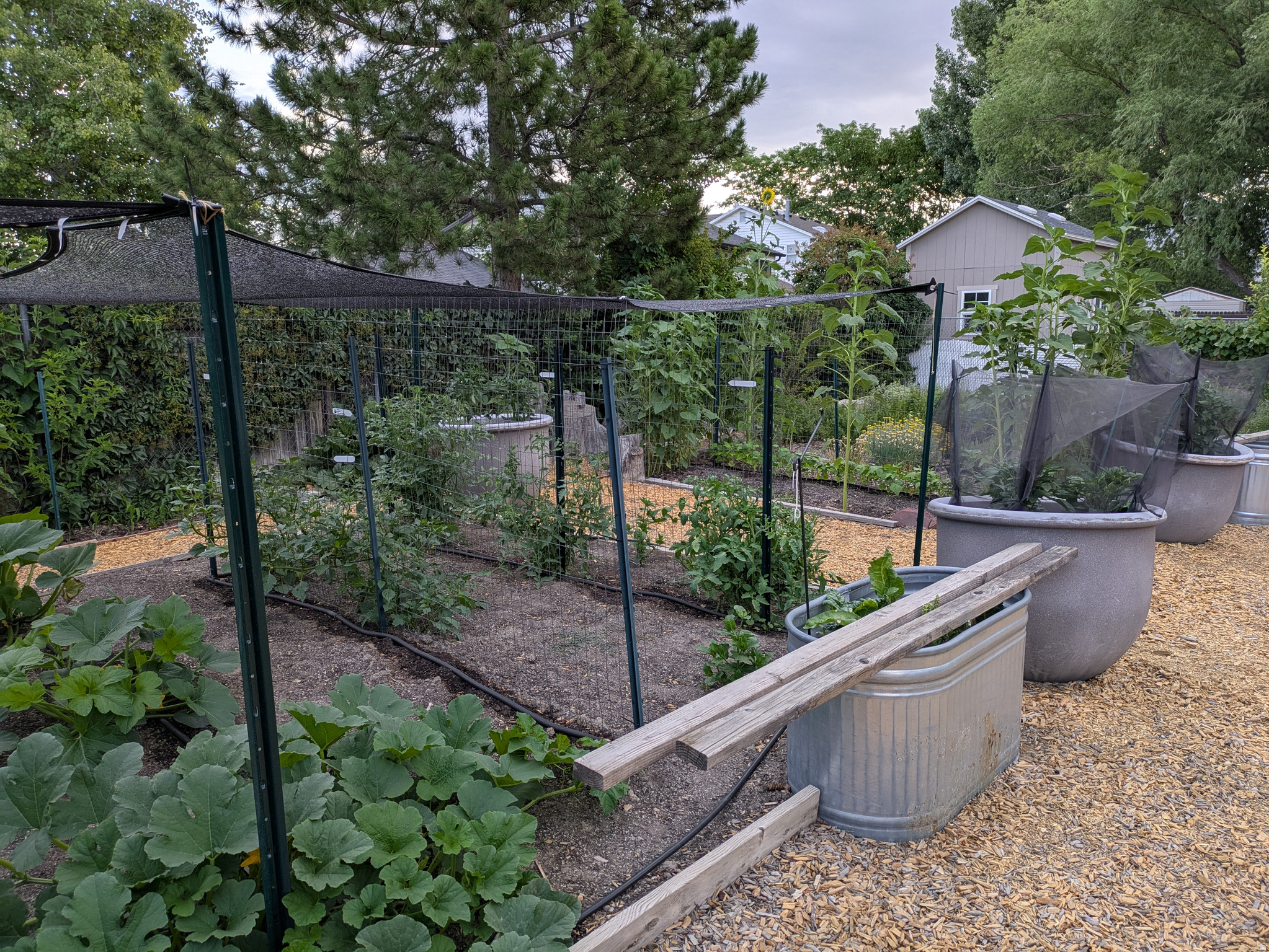 RIVERVIEW EAST - Residential