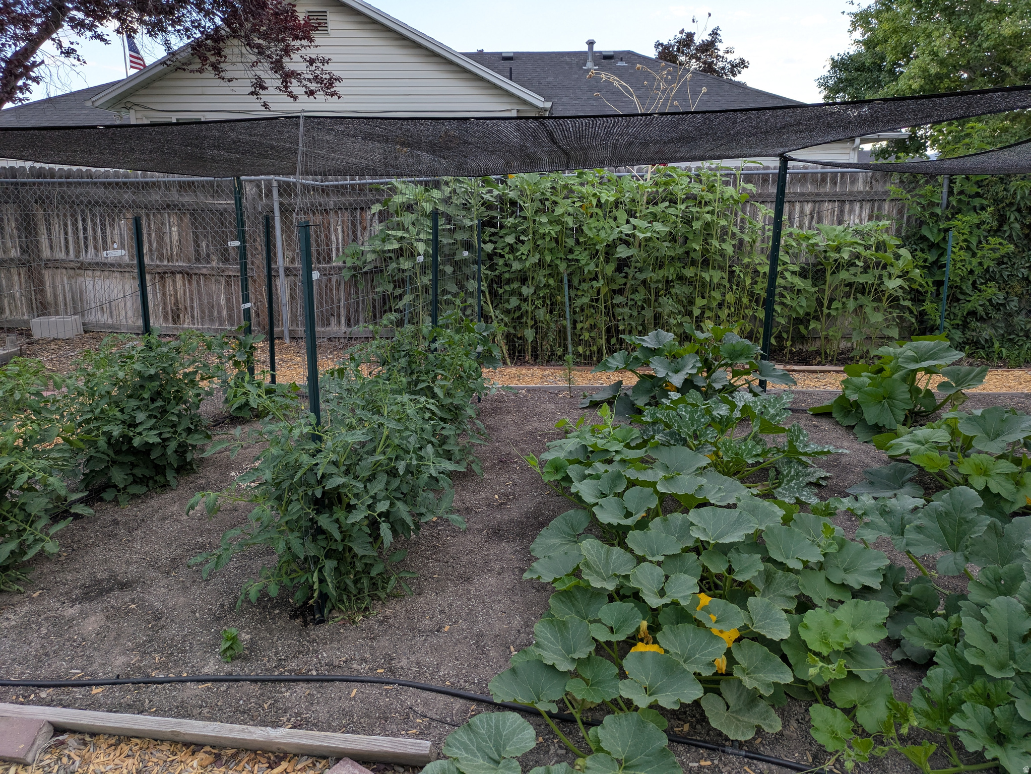 RIVERVIEW EAST - Residential