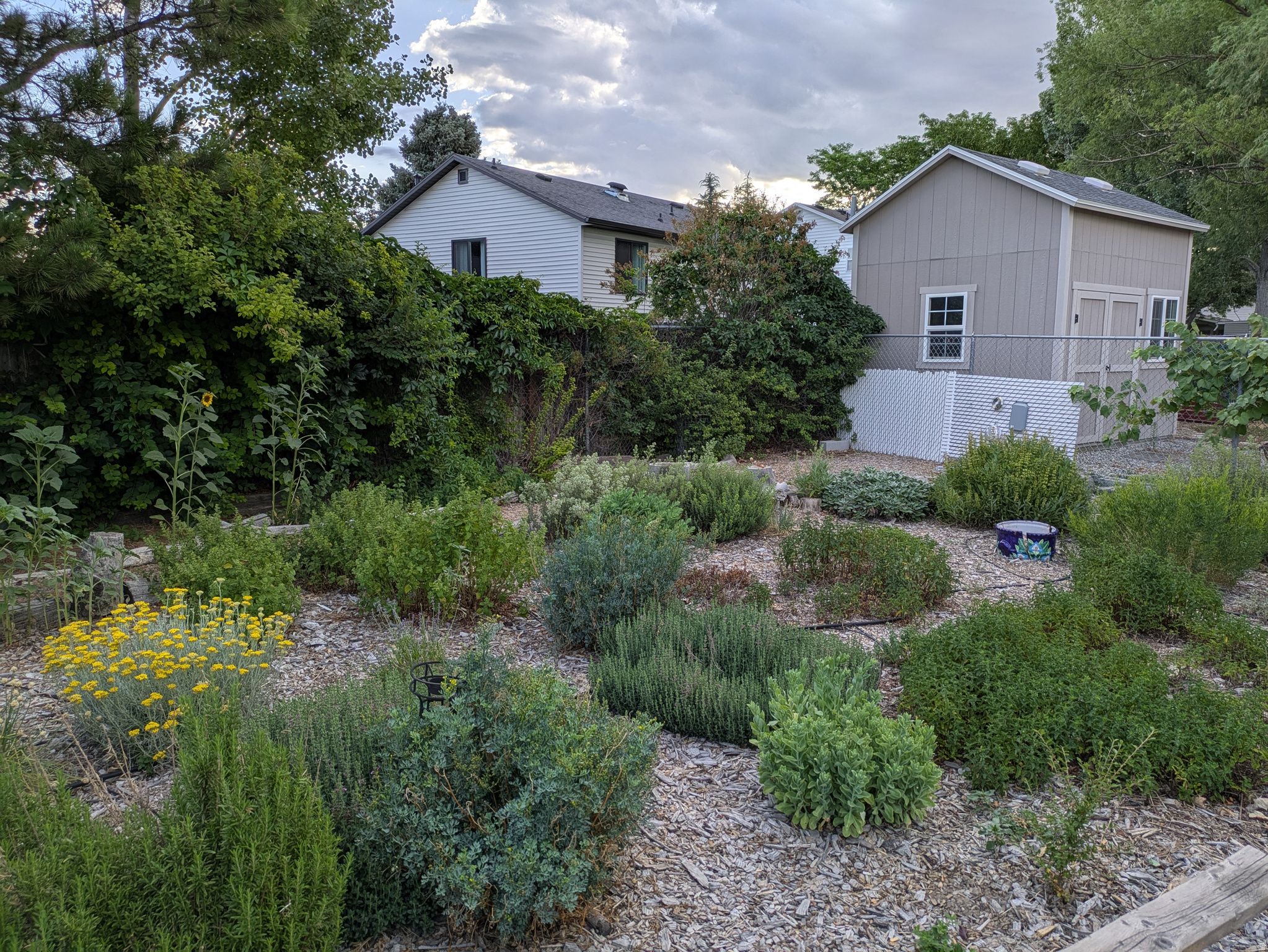 RIVERVIEW EAST - Residential