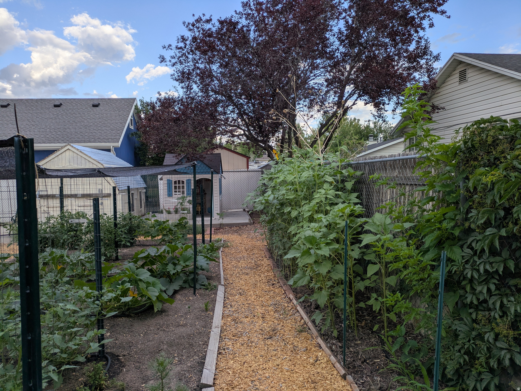 RIVERVIEW EAST - Residential