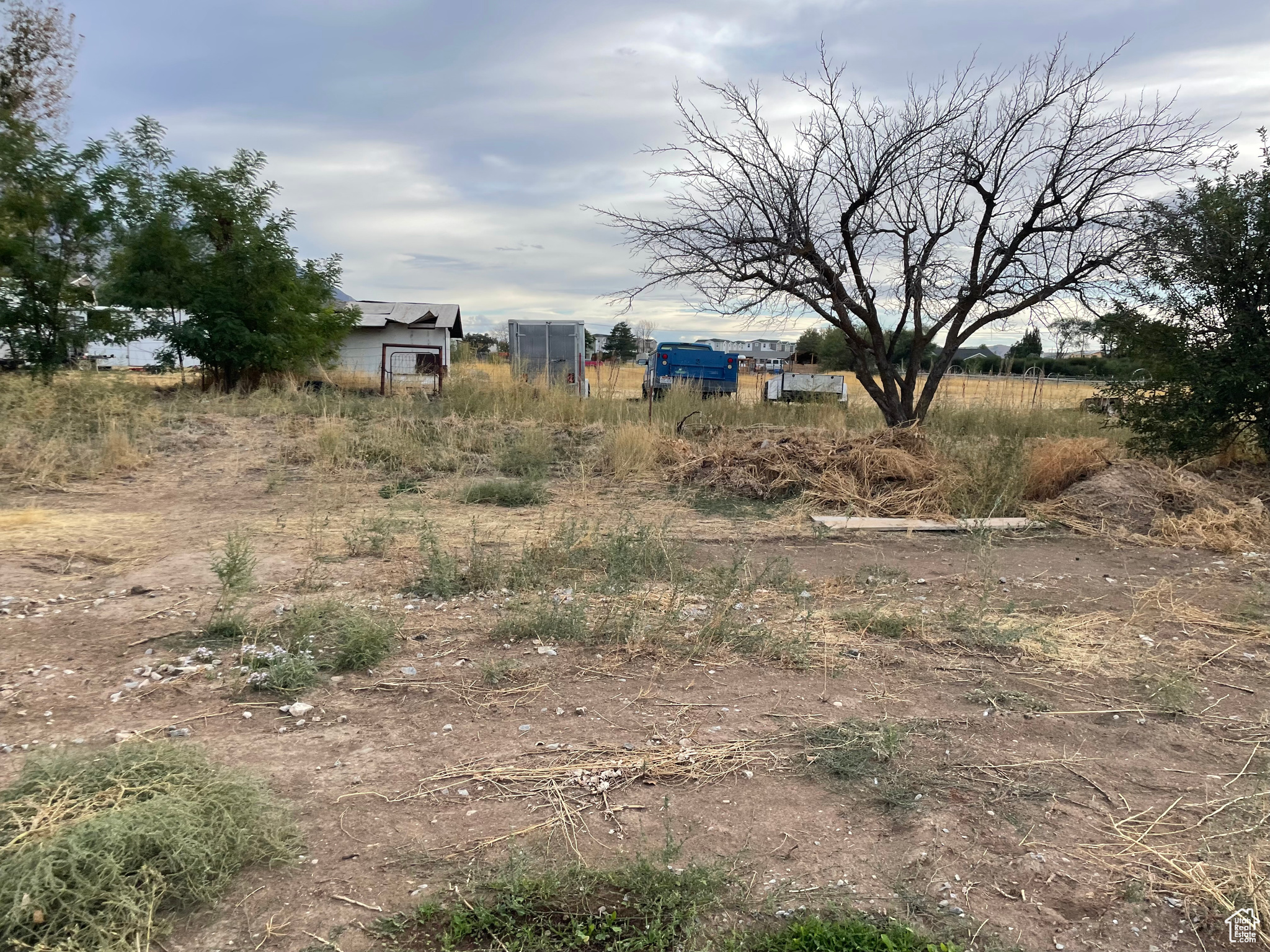 TIMBER VALLEY - Land