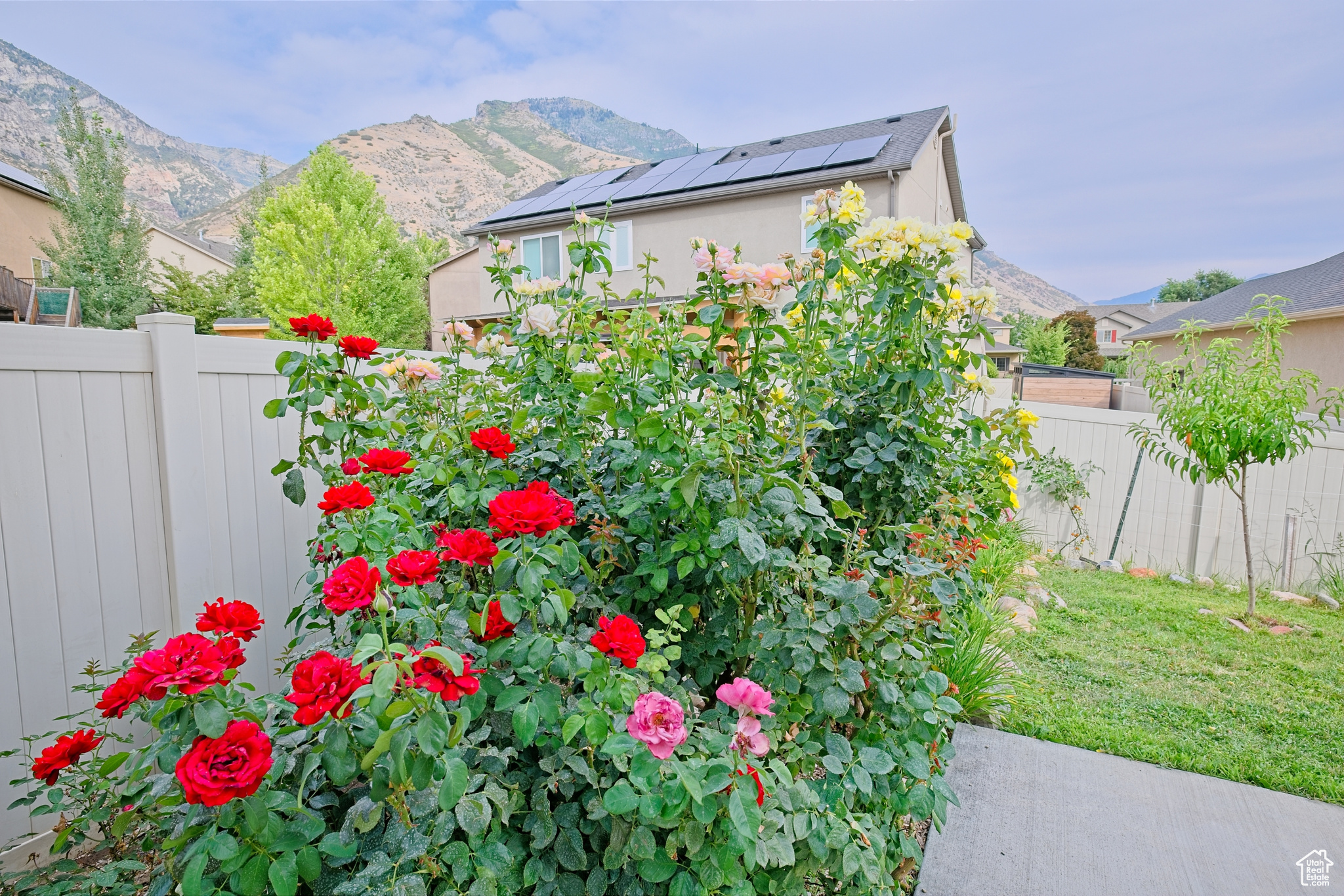CINNAMON RIDGE - Residential