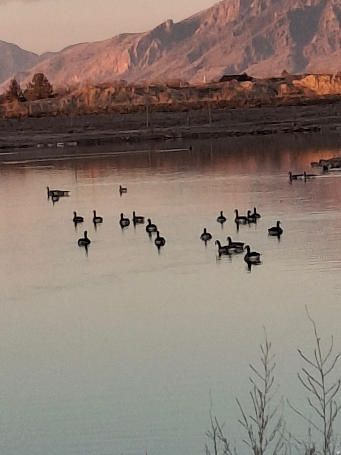 FIELDS AT GREEN FARM - Residential