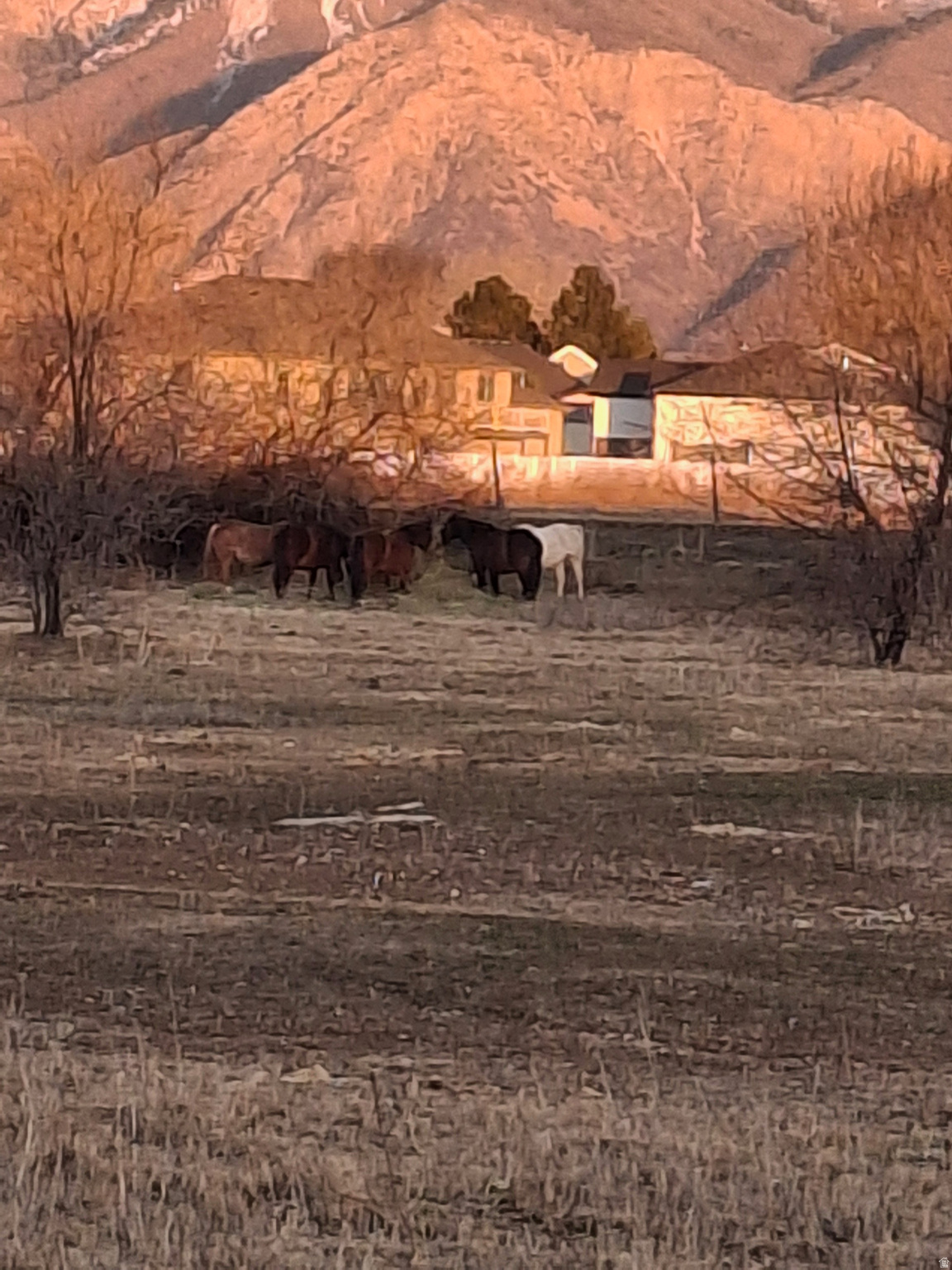 FIELDS AT GREEN FARM - Residential