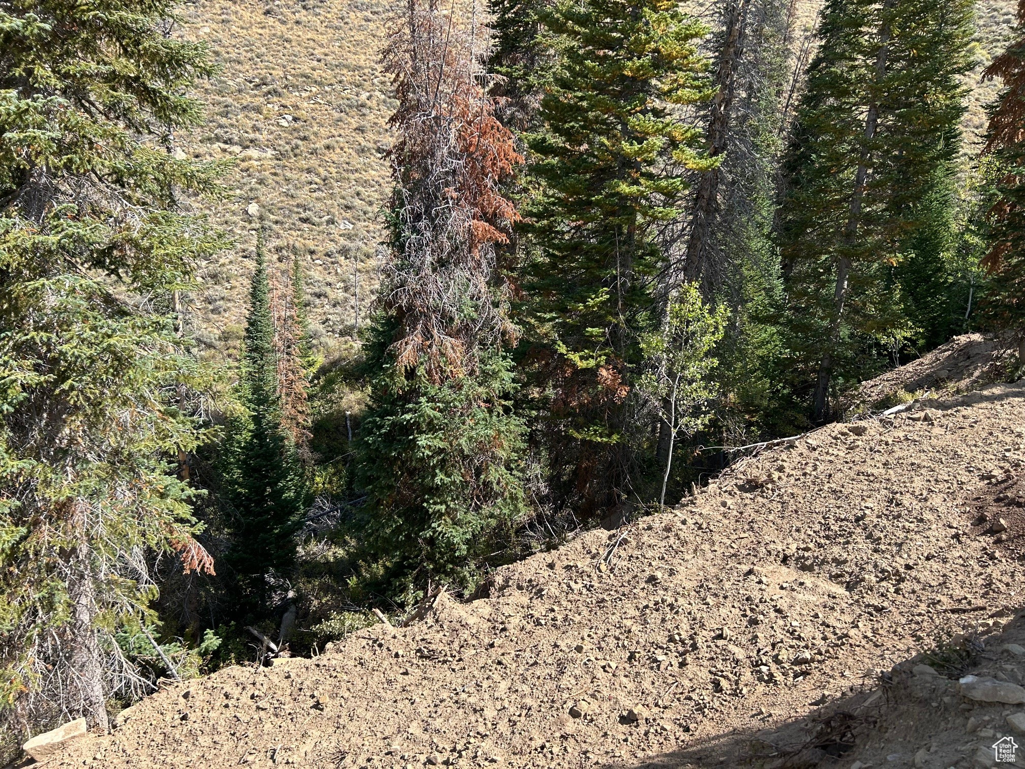 MOUNTAIN RETREAT - Land