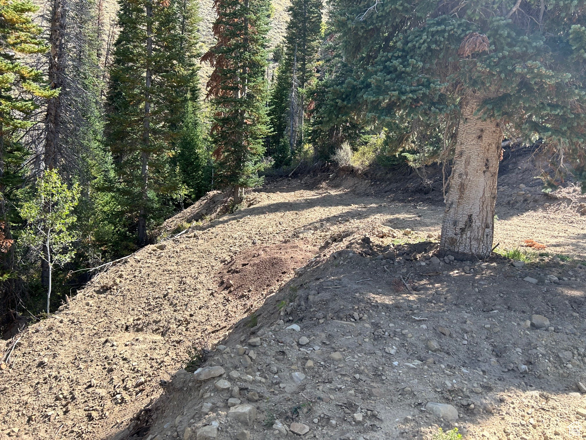 MOUNTAIN RETREAT - Land