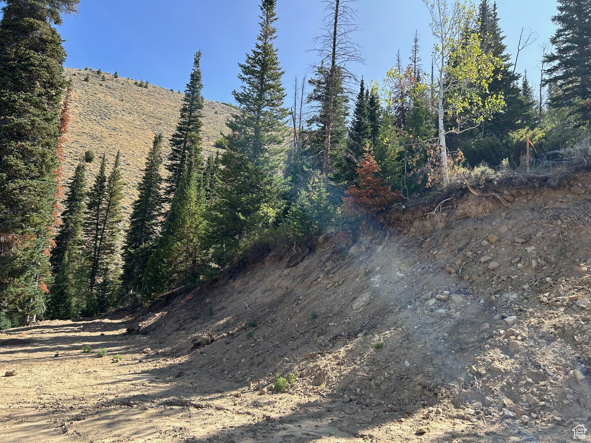 MOUNTAIN RETREAT - Land