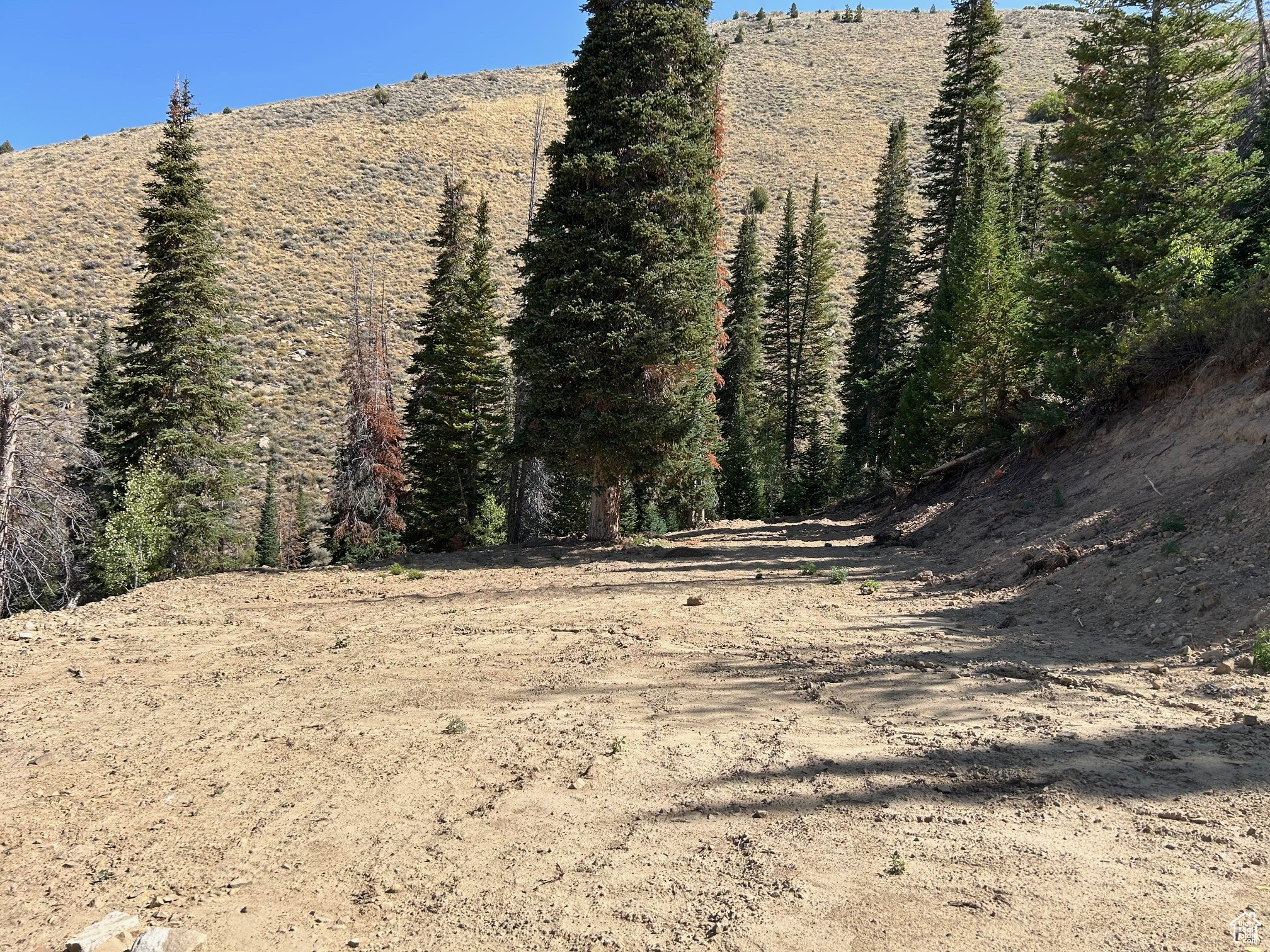 MOUNTAIN RETREAT - Land