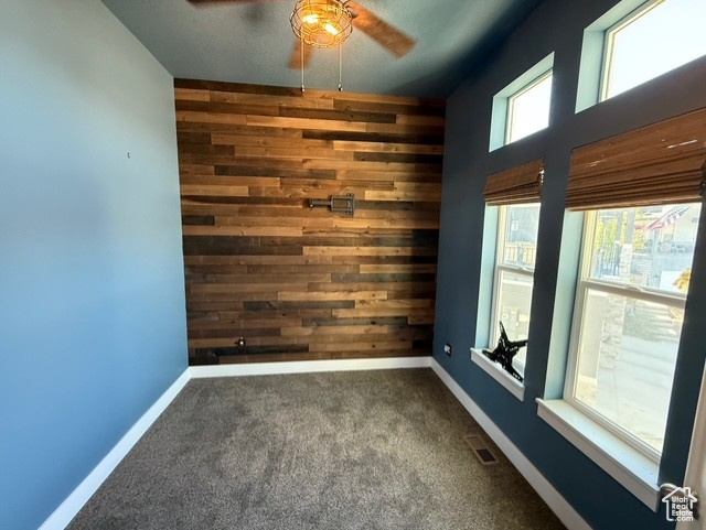 SKYLINE RIDGE - Residential