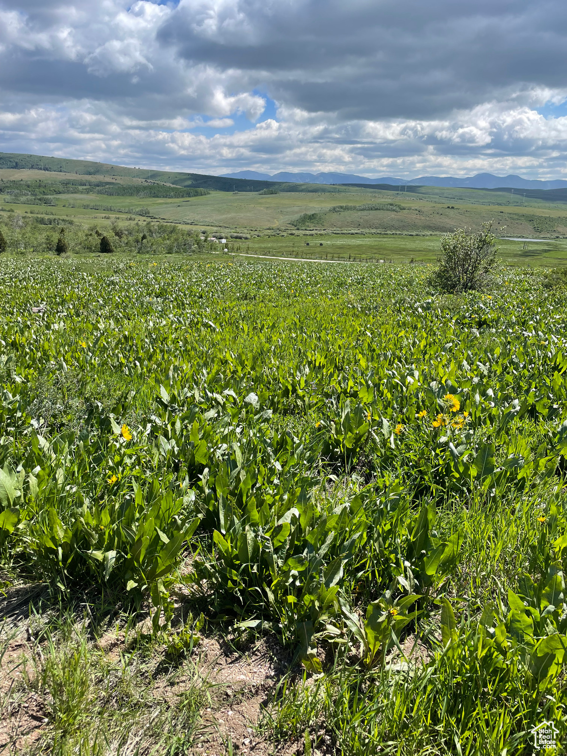 300 Maggi Rd #3, Montpelier, Idaho image 24
