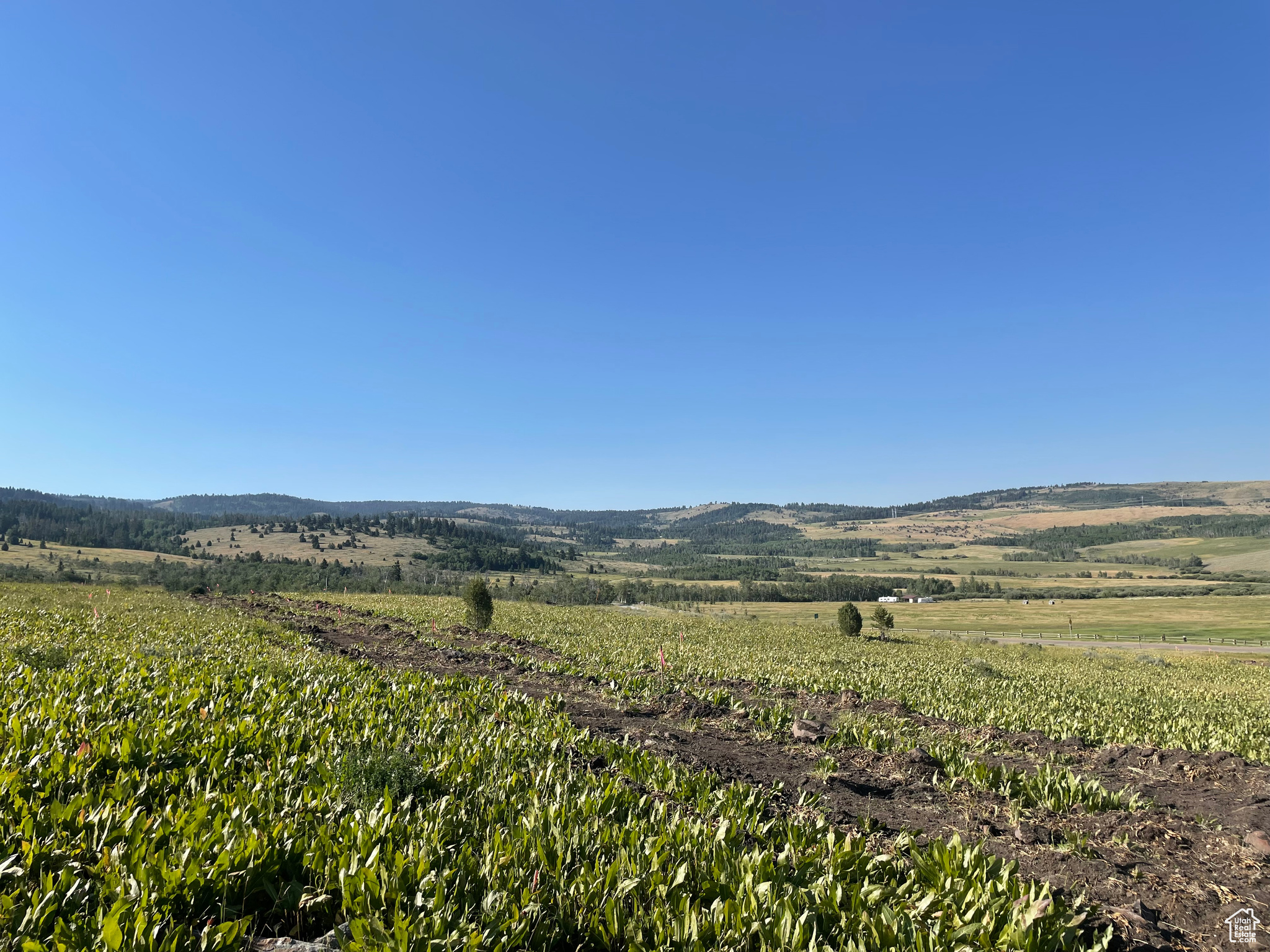 300 Maggi Rd #3, Montpelier, Idaho image 23