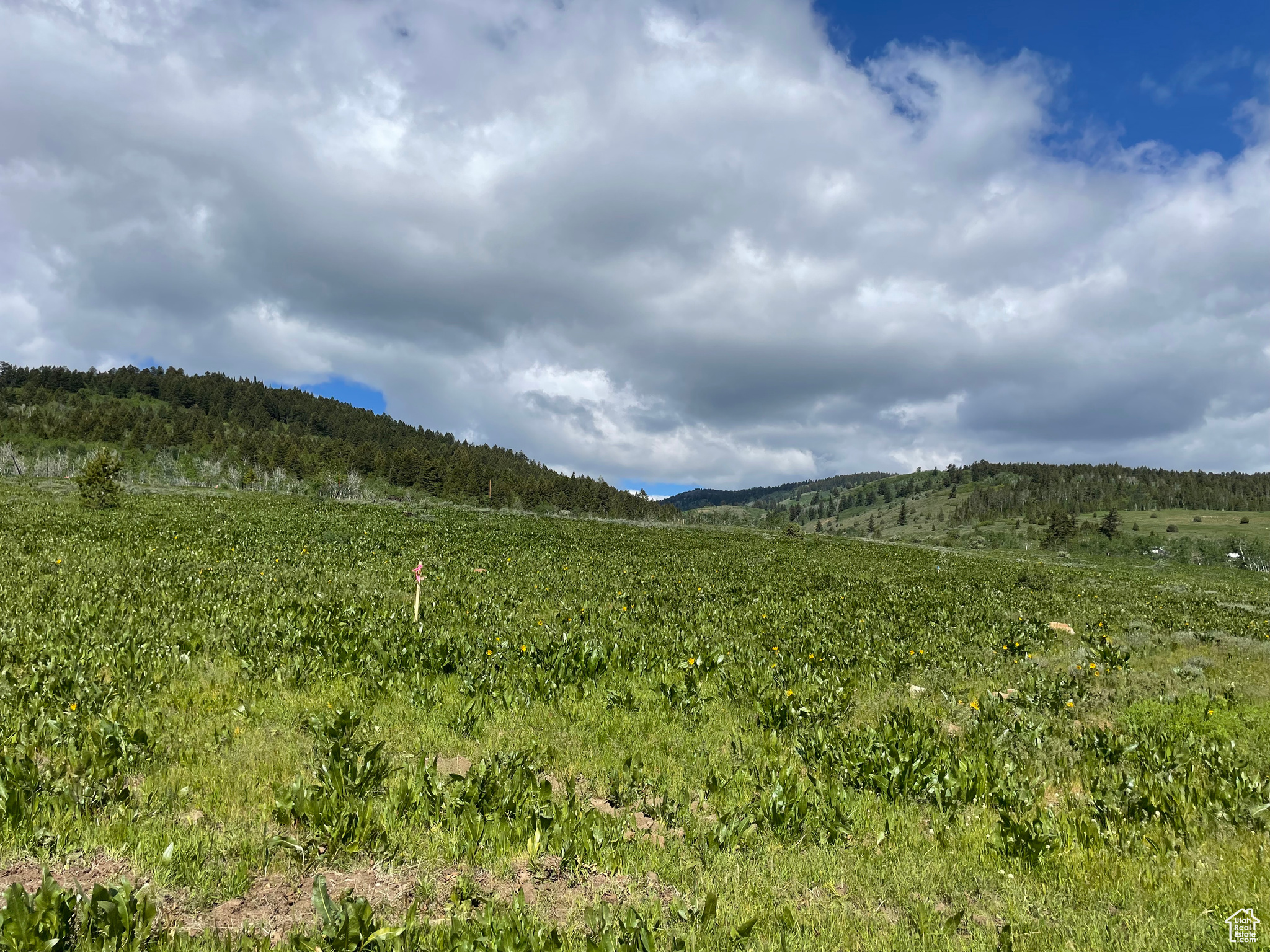 300 Maggi Rd #3, Montpelier, Idaho image 26