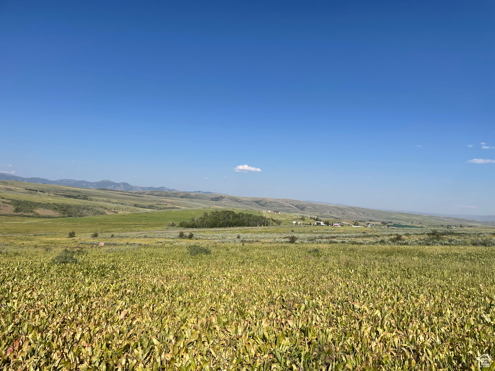 300 Maggi Rd #3, Montpelier, Idaho image 20
