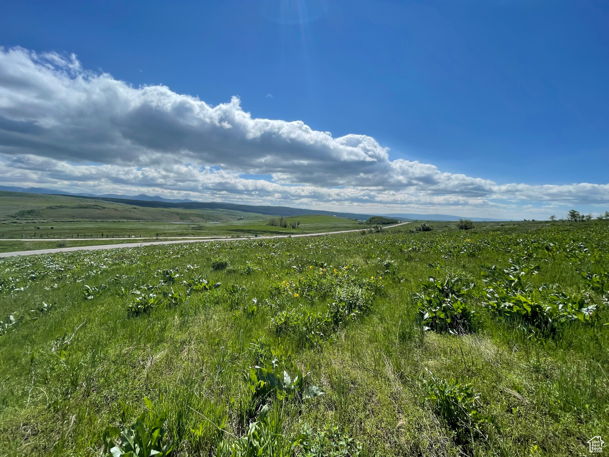 300 Maggi Rd #3, Montpelier, Idaho image 25