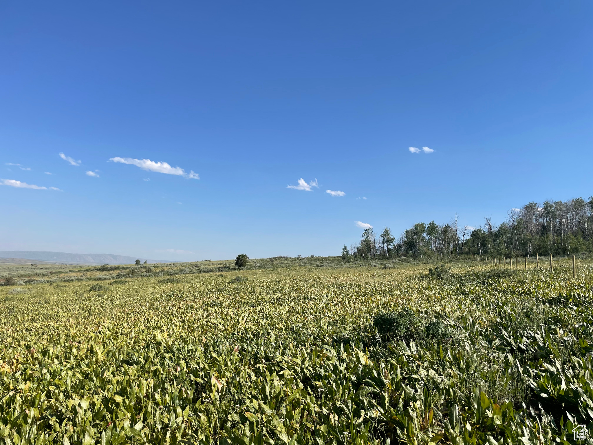 300 Maggi Rd #3, Montpelier, Idaho image 22