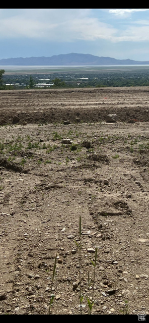 ROCK LOFT RIDGE ESTATES - Land