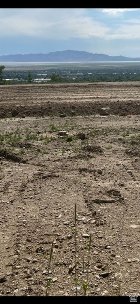 Tiny photo for 52 S GRANDISON COURT Ct E #83-R, Fruit Heights, UT 84037 (MLS # 2065029)