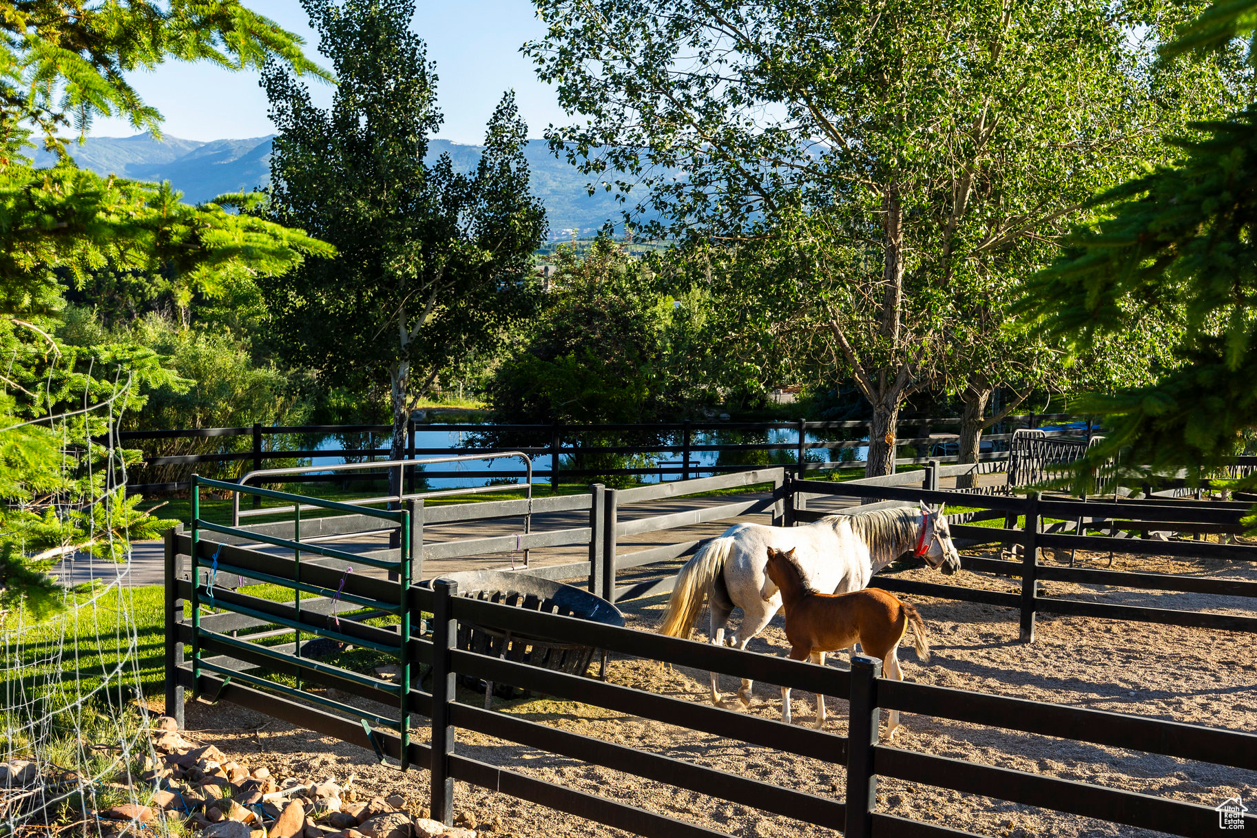 GOSHAWK RANCH - Residential