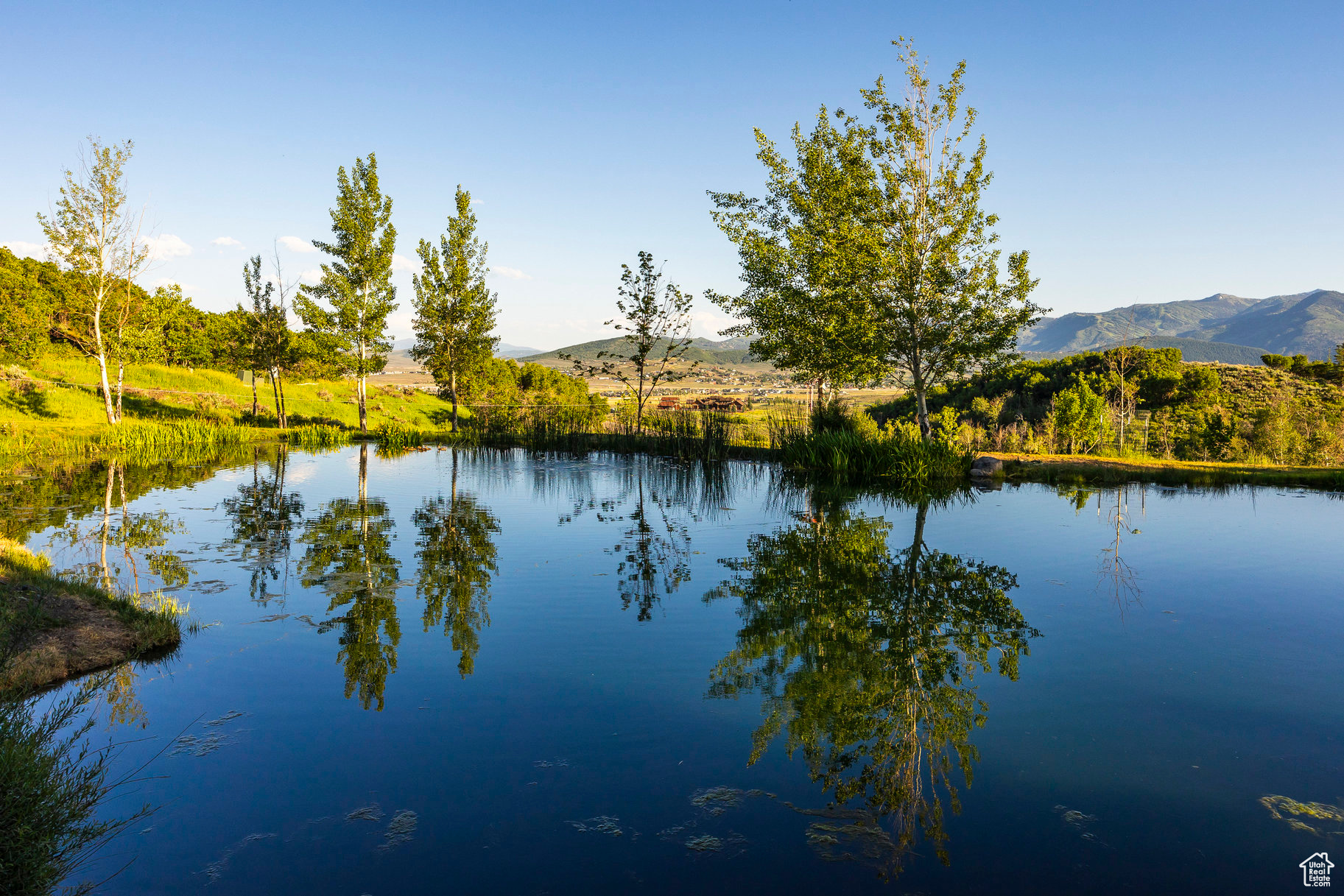 GOSHAWK RANCH - Residential