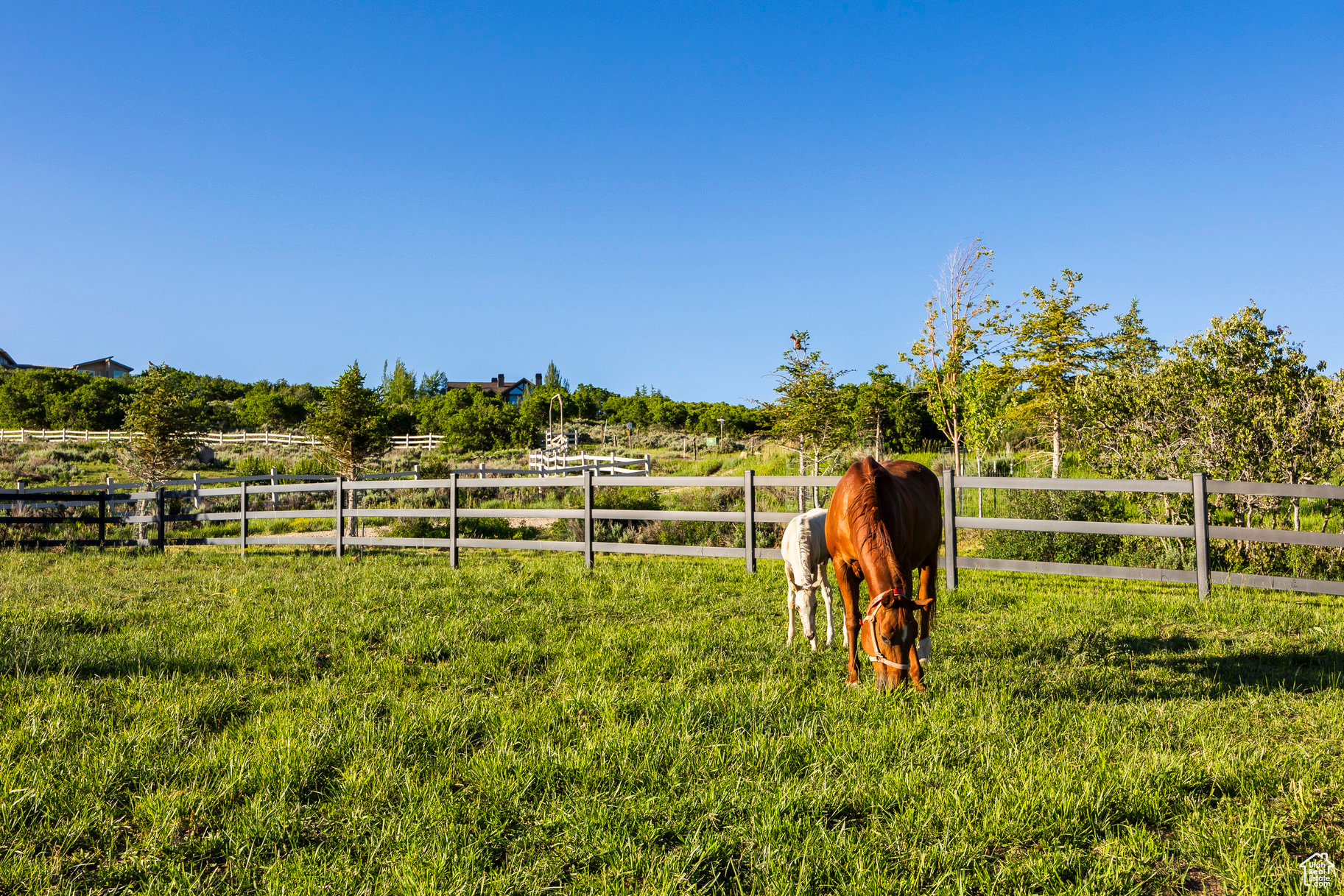 GOSHAWK RANCH - Residential