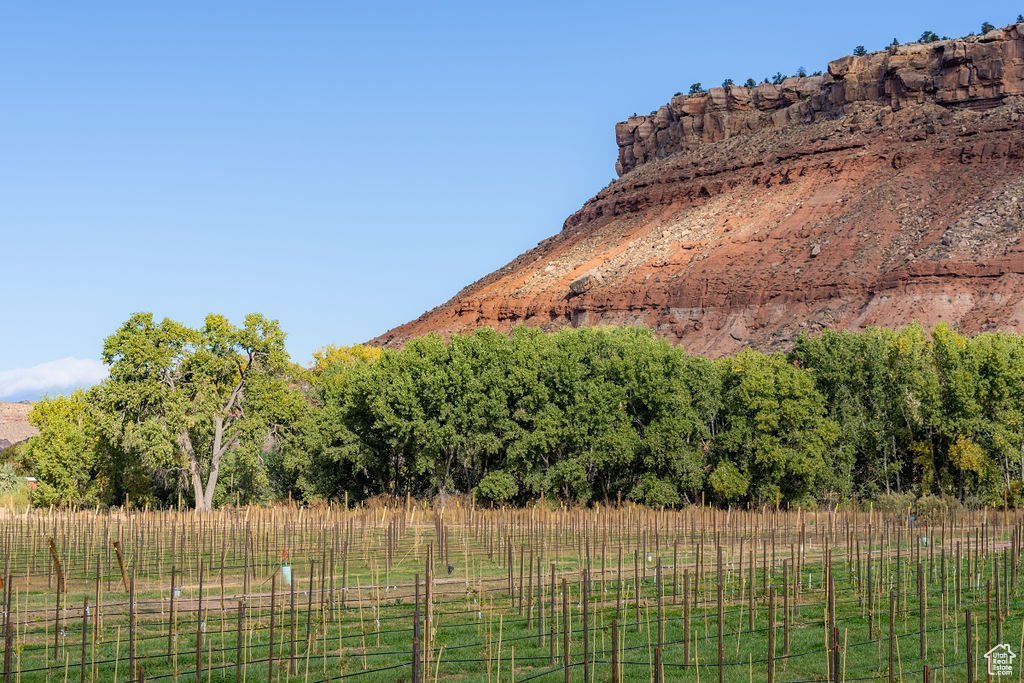 MINDIRA VINEYARDS - Residential