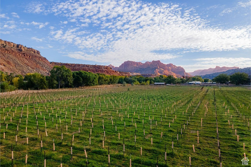MINDIRA VINEYARDS - Residential