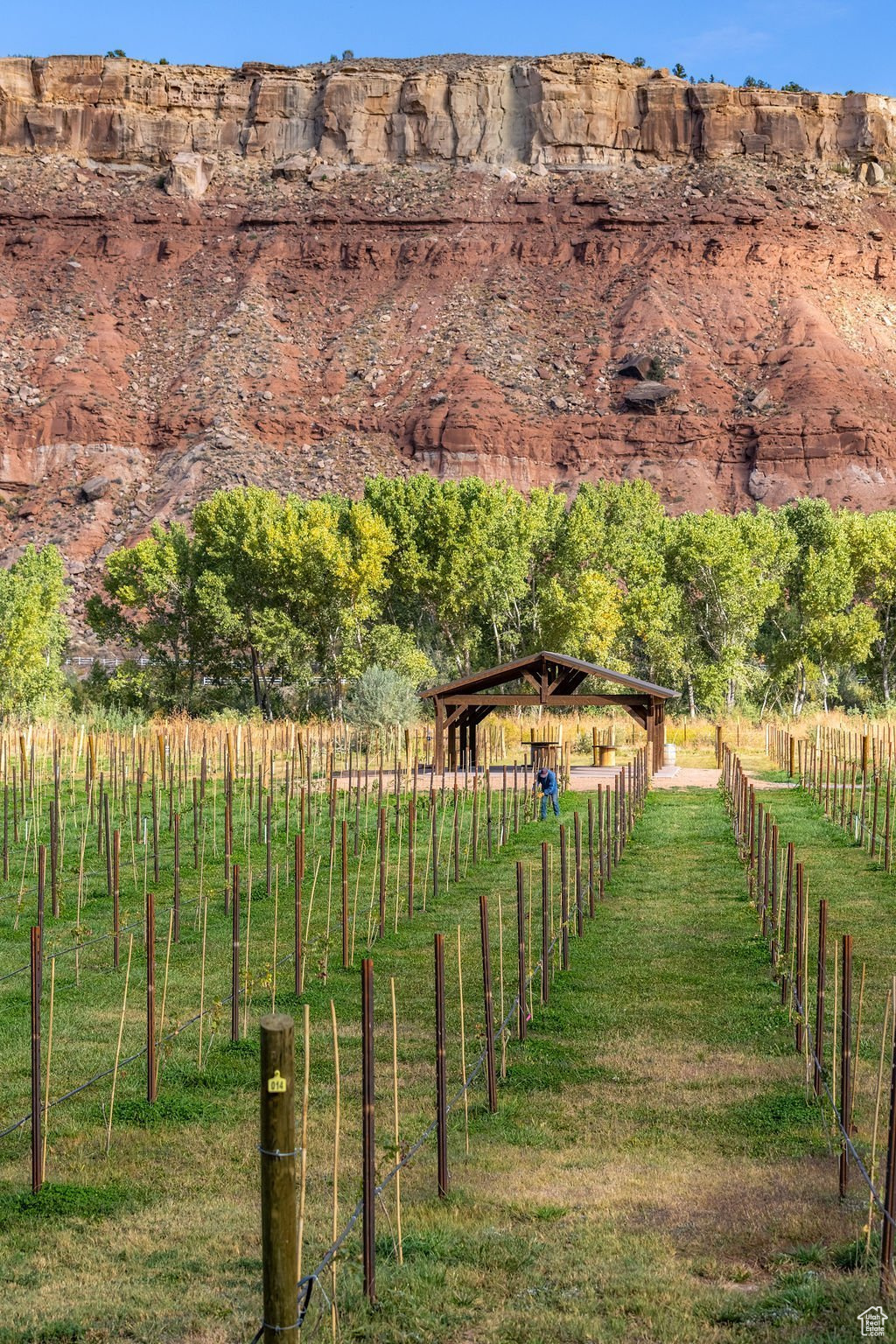 MINDIRA VINEYARDS - Residential