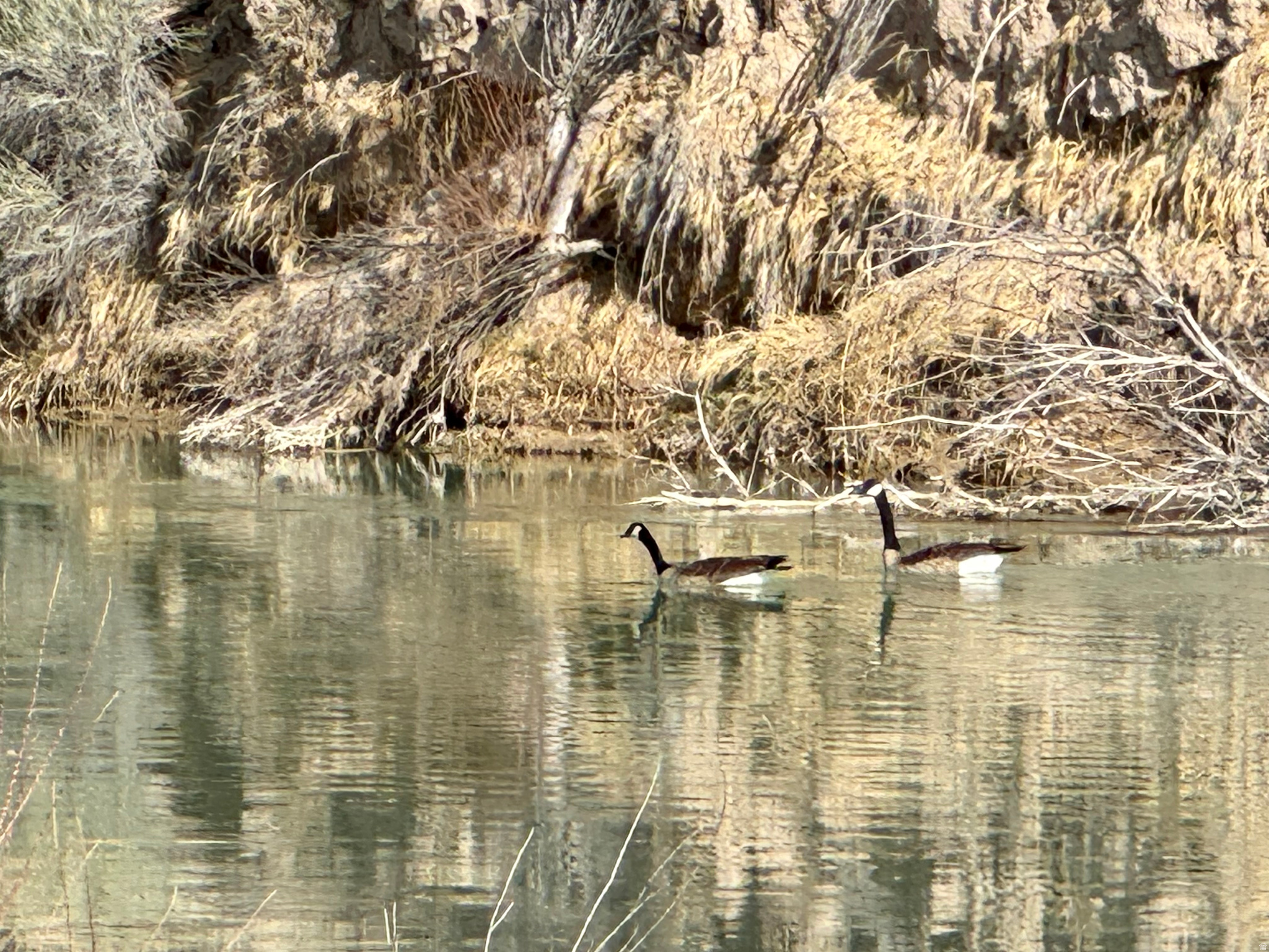 SEVIER RIVER RANCHES - Land
