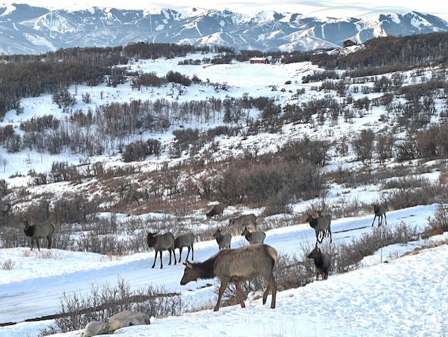 TOLLGATE CANYON - Residential