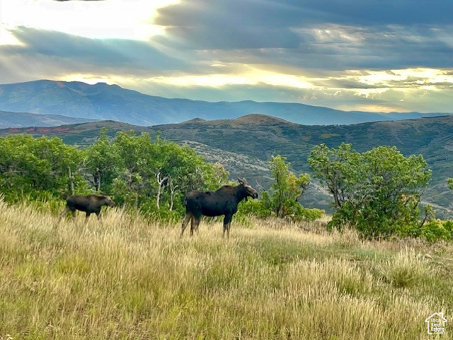 TOLLGATE CANYON - Residential