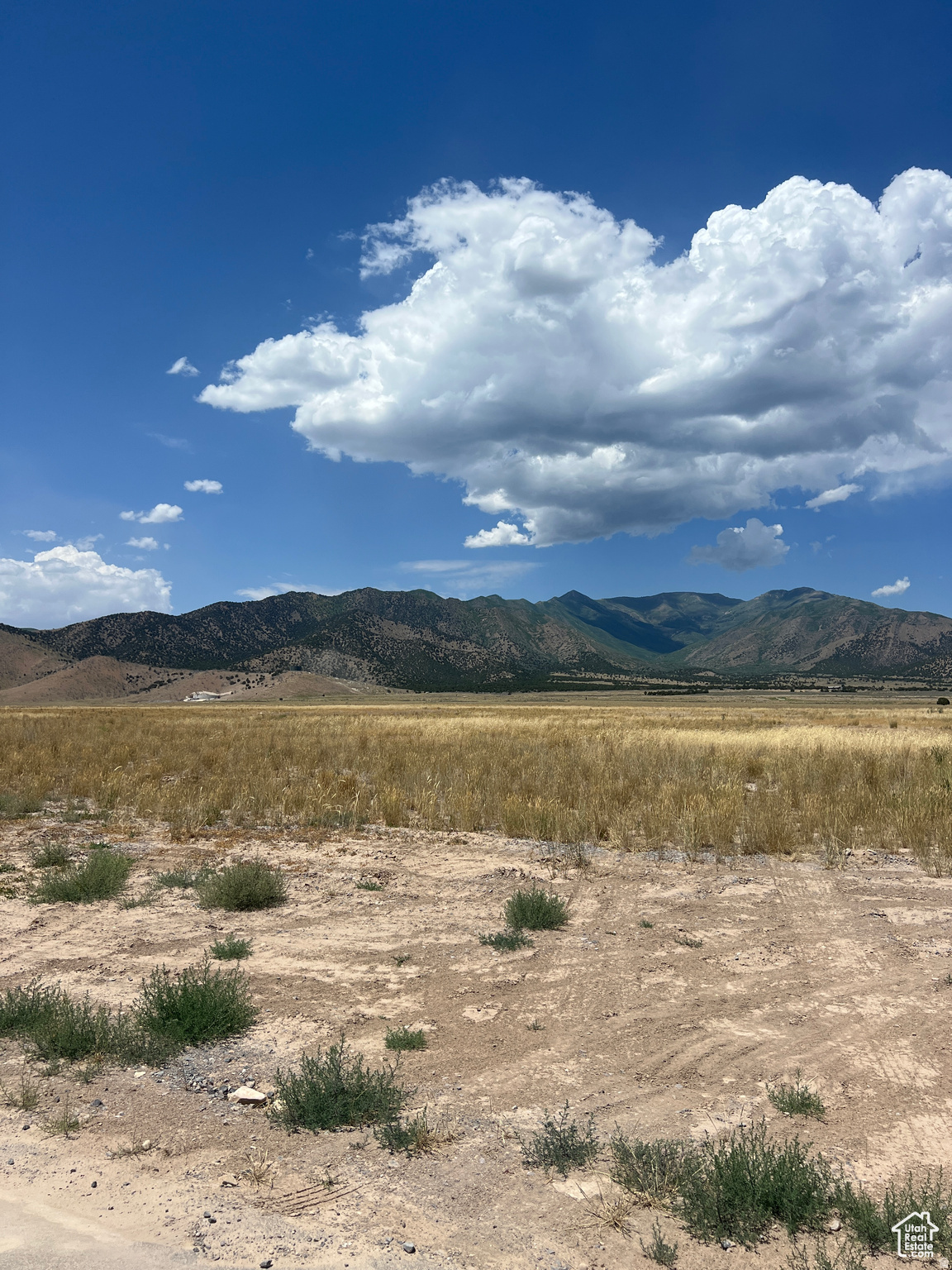 FIREFLY RANCHES - Land