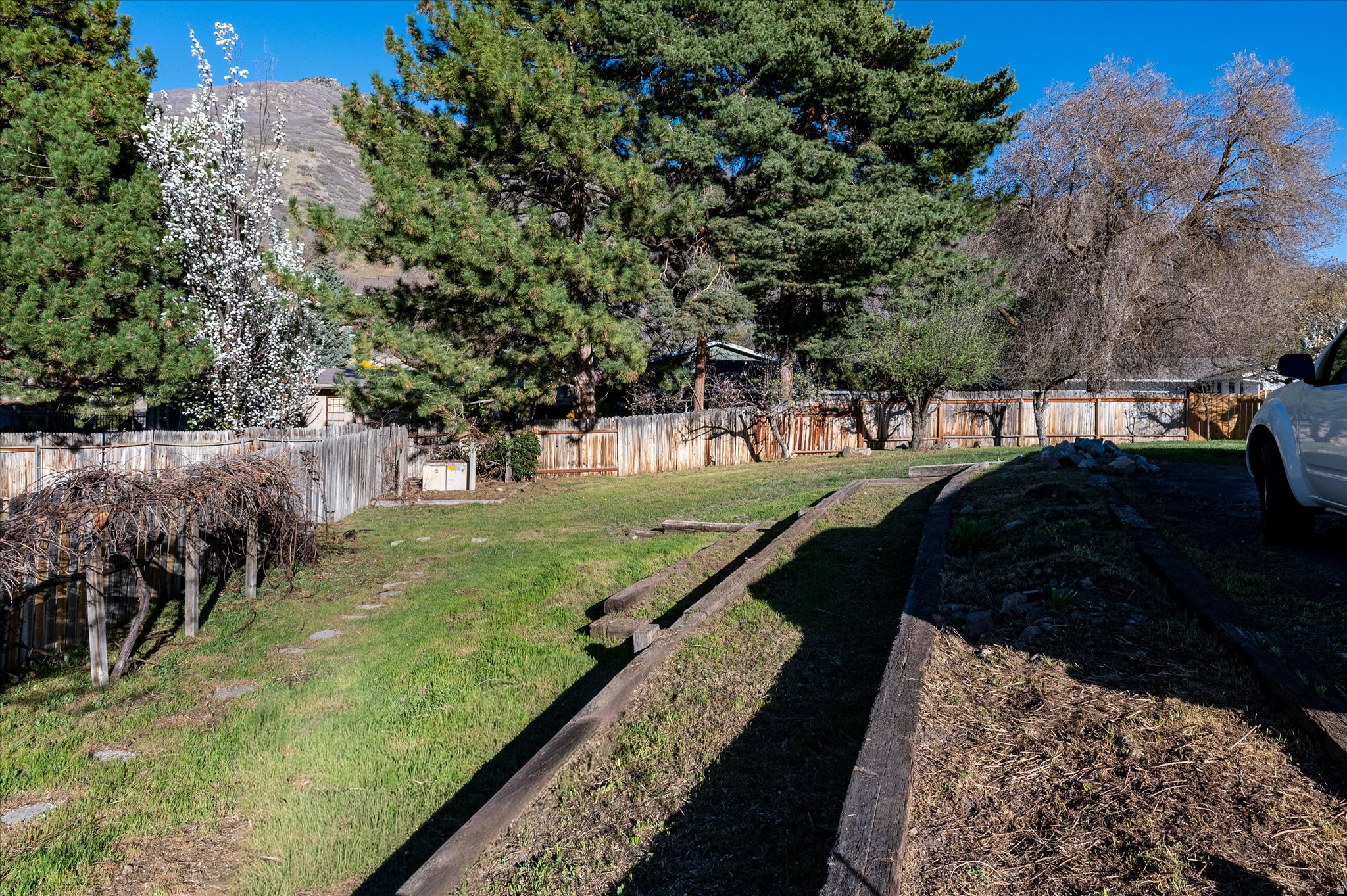 FOREST GREEN ESTATES - Residential