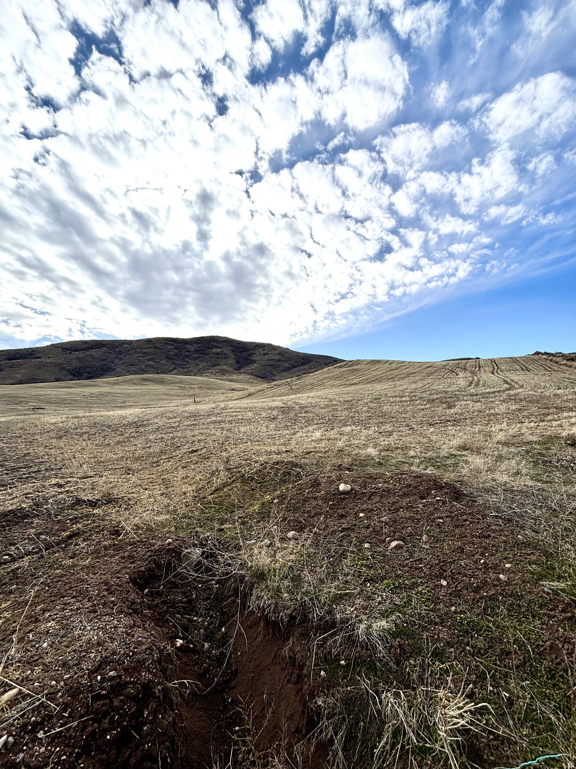 ELK HAVEN ESTATES - Land