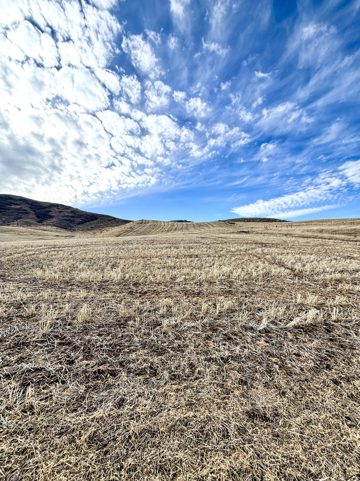 ELK HAVEN ESTATES - Land