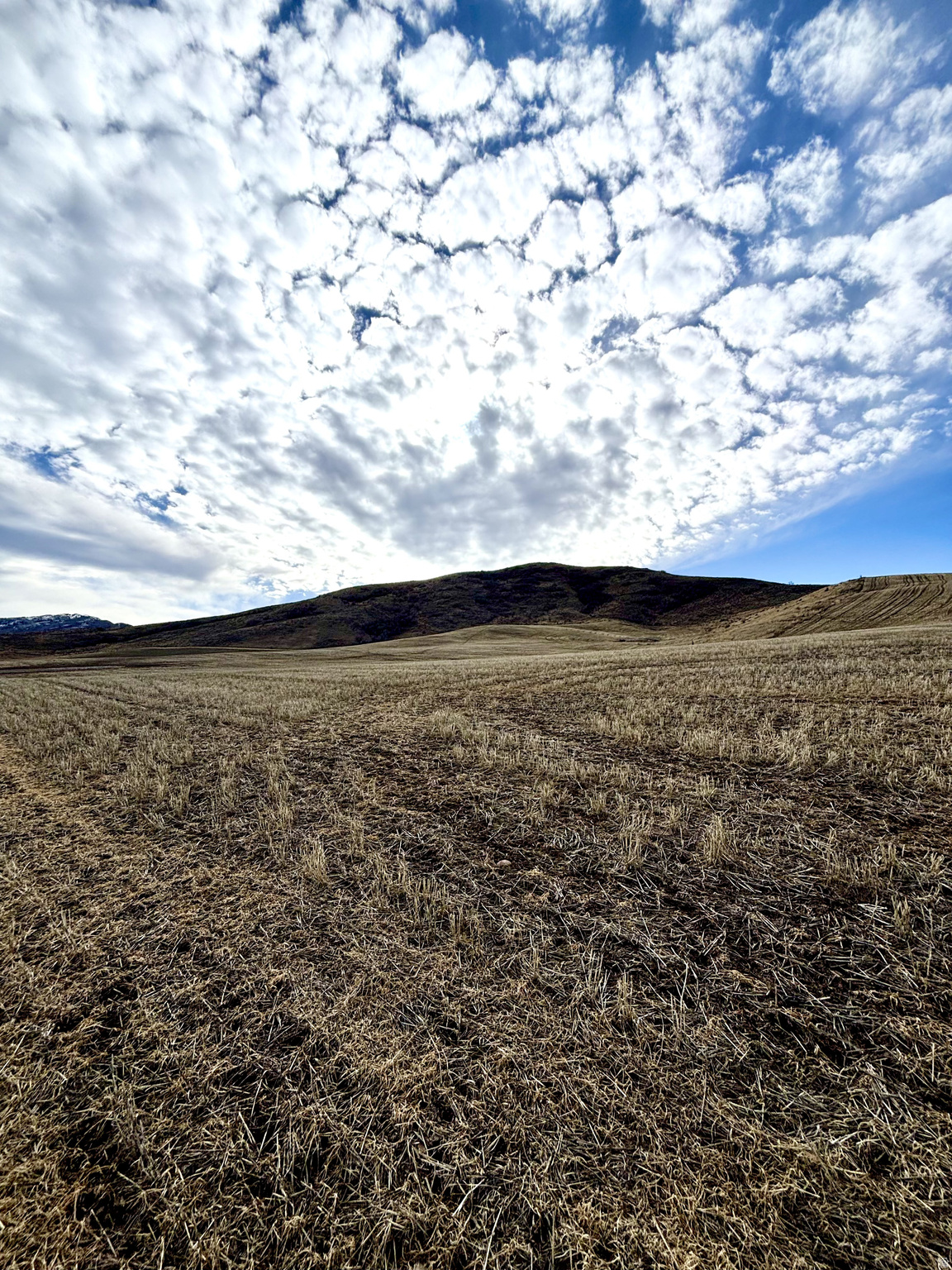 ELK HAVEN ESTATES - Land