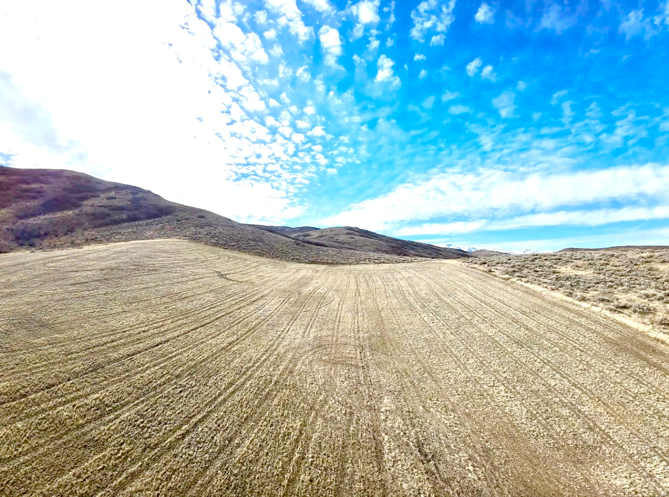 ELK HAVEN ESTATES - Land