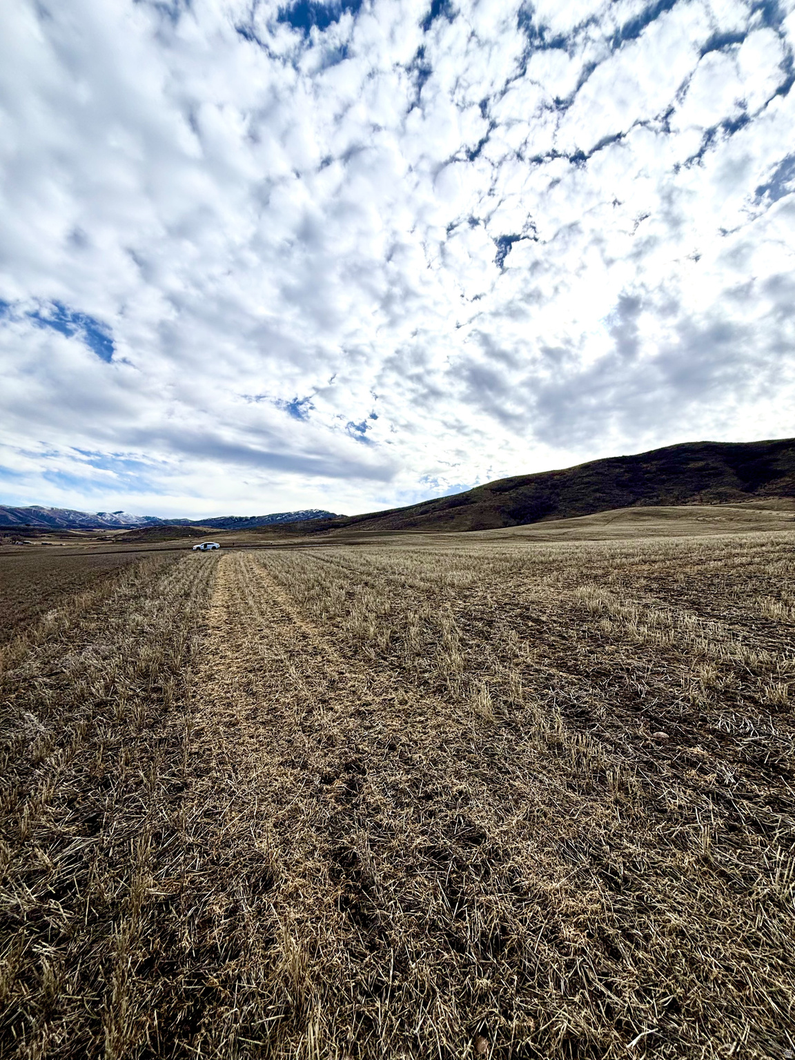 ELK HAVEN ESTATES - Land